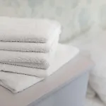 House - Two Bedroom Apartment *