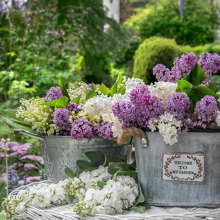 House - Two Bedroom Appartement