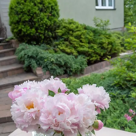 House - Two Bedroom Appartement *