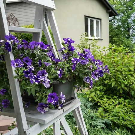 House - Two Bedroom * Bielsko-Biała