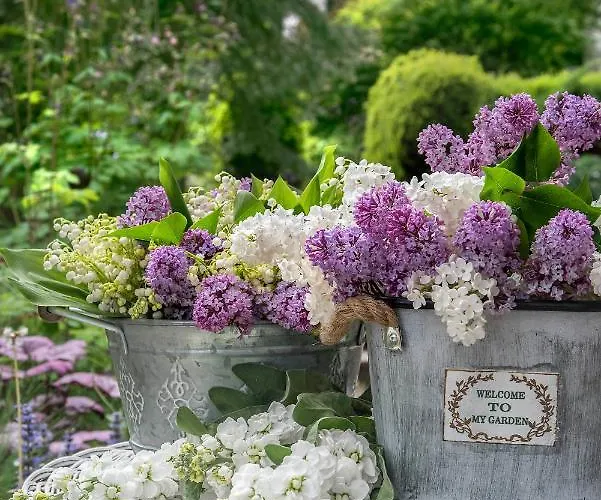 House - Two Bedroom Daire