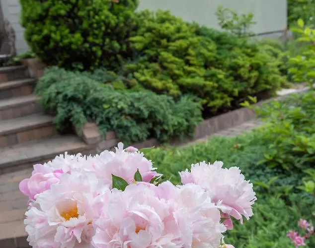 House - Two Bedroom Appartamento *