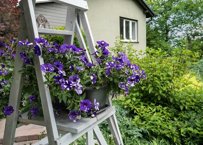 House - Two Bedroom * Bielsko-Biała