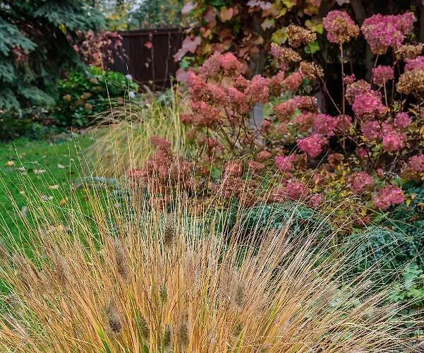 Daire House - Two Bedroom